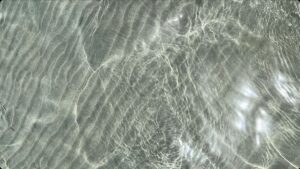 Bild von Maikranz & Avanessian